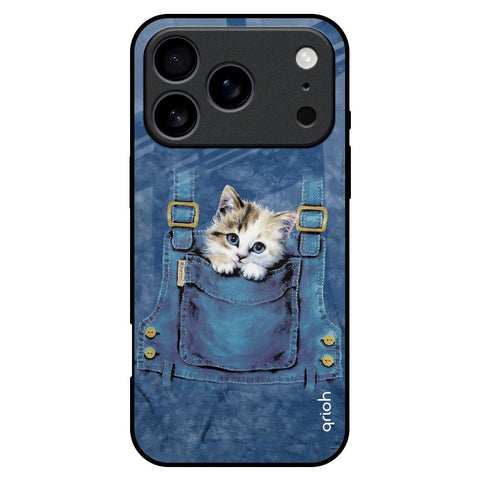 Kitty In Pocket iPhone 17 Pro Max Glass Back Cover Online