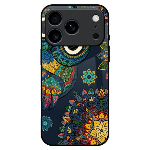 Owl Art iPhone 17 Pro Max Glass Back Cover Online