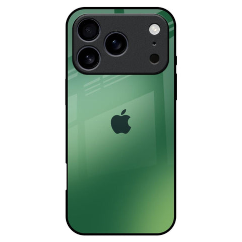 Green Grunge Texture iPhone 17 Pro Max Glass Back Cover Online