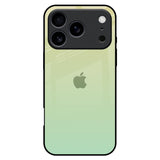 Mint Green Gradient iPhone 17 Pro Max Glass Back Cover Online