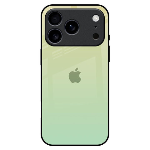 Mint Green Gradient iPhone 17 Pro Max Glass Back Cover Online