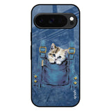 Kitty In Pocket Google Pixel 10 Pro 5G Glass Back Cover Online