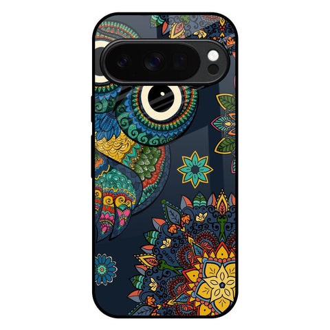 Owl Art Google Pixel 10 Pro 5G Glass Back Cover Online