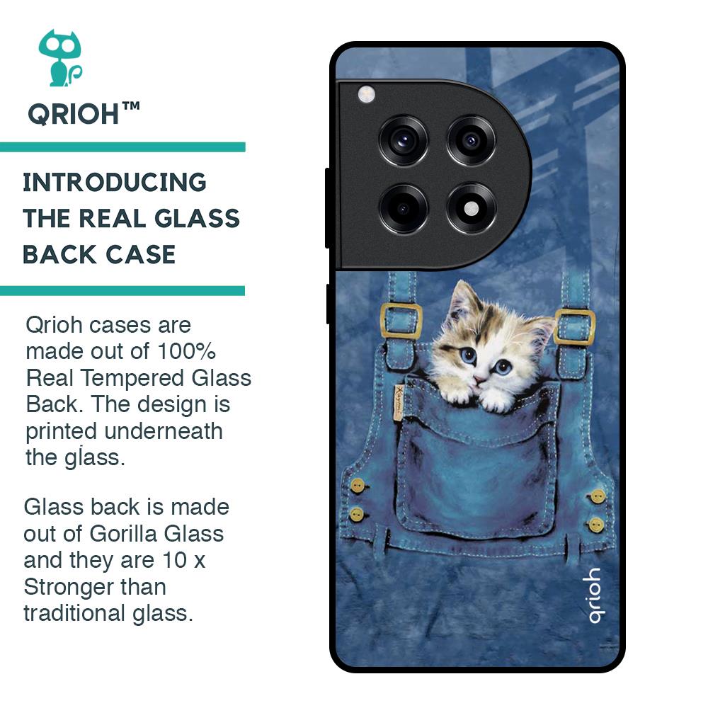 Kitty In Pocket Glass Case For OnePlus 12R 5G