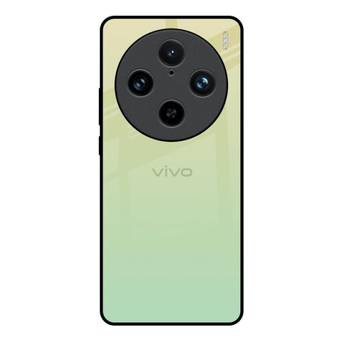 Mint Green Gradient Vivo X100 Pro 5G Glass Back Cover Online