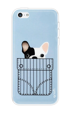 Cute Dog iPhone 5C Back Cover