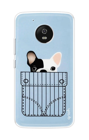 Cute Dog Motorola Moto G5 Plus Back Cover