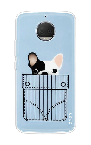 Cute Dog Motorola Moto G5s Plus Back Cover