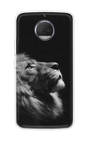 Lion Looking to Sky Motorola Moto G5s Plus Back Cover
