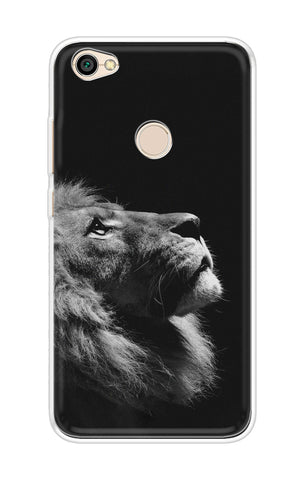 Lion Looking to Sky Xiaomi Redmi Y1 Back Cover