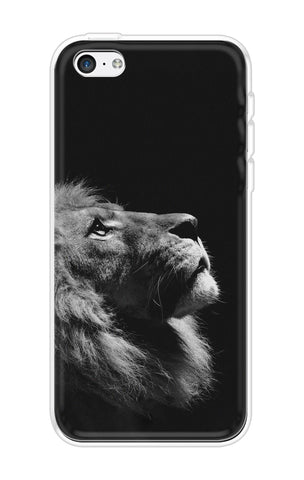 Lion Looking to Sky iPhone 5 Back Cover