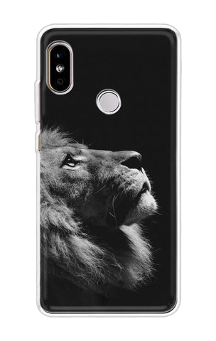 Lion Looking to Sky Redmi Note 5 Pro Back Cover