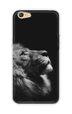 Lion Looking to Sky Vivo Y71 Back Cover