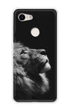 Lion Looking to Sky Google Pixel 3 XL Back Cover