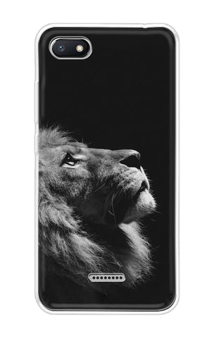 Lion Looking to Sky Xiaomi Redmi 6A Back Cover