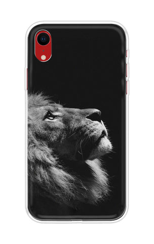 Lion Looking to Sky iPhone XR Back Cover