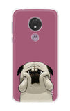Chubby Dog Motorola Moto G7 Power Back Cover