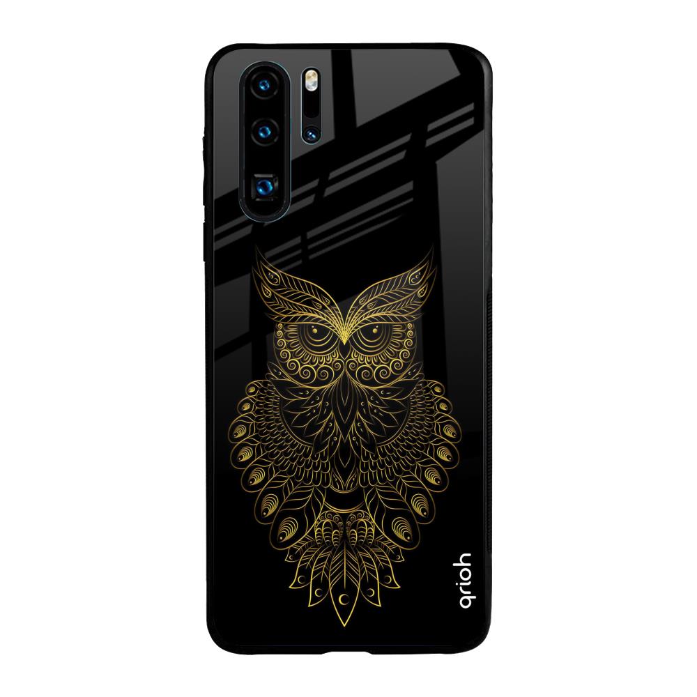 Golden Owl Huawei P30 Pro Glass Back Cover Online