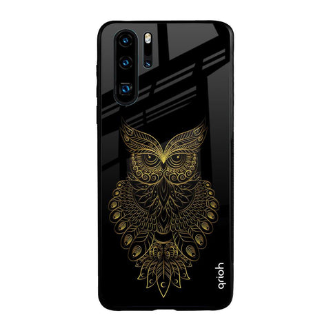 Golden Owl Huawei P30 Pro Glass Back Cover Online