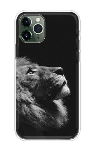Lion Looking to Sky iPhone 11 Pro Back Cover