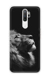 Lion Looking to Sky Oppo A5 2020 Back Cover