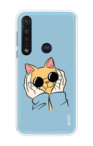 Attitude Cat Motorola Moto G8 Plus Back Cover