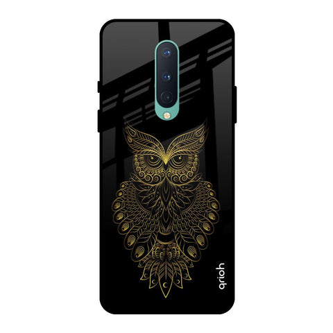 Golden Owl OnePlus 8 Glass Back Cover Online