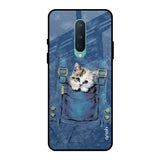 Kitty In Pocket OnePlus 8 Glass Back Cover Online