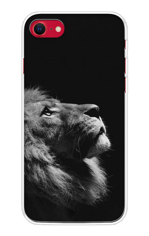 Lion Looking to Sky iPhone SE 2020 Back Cover