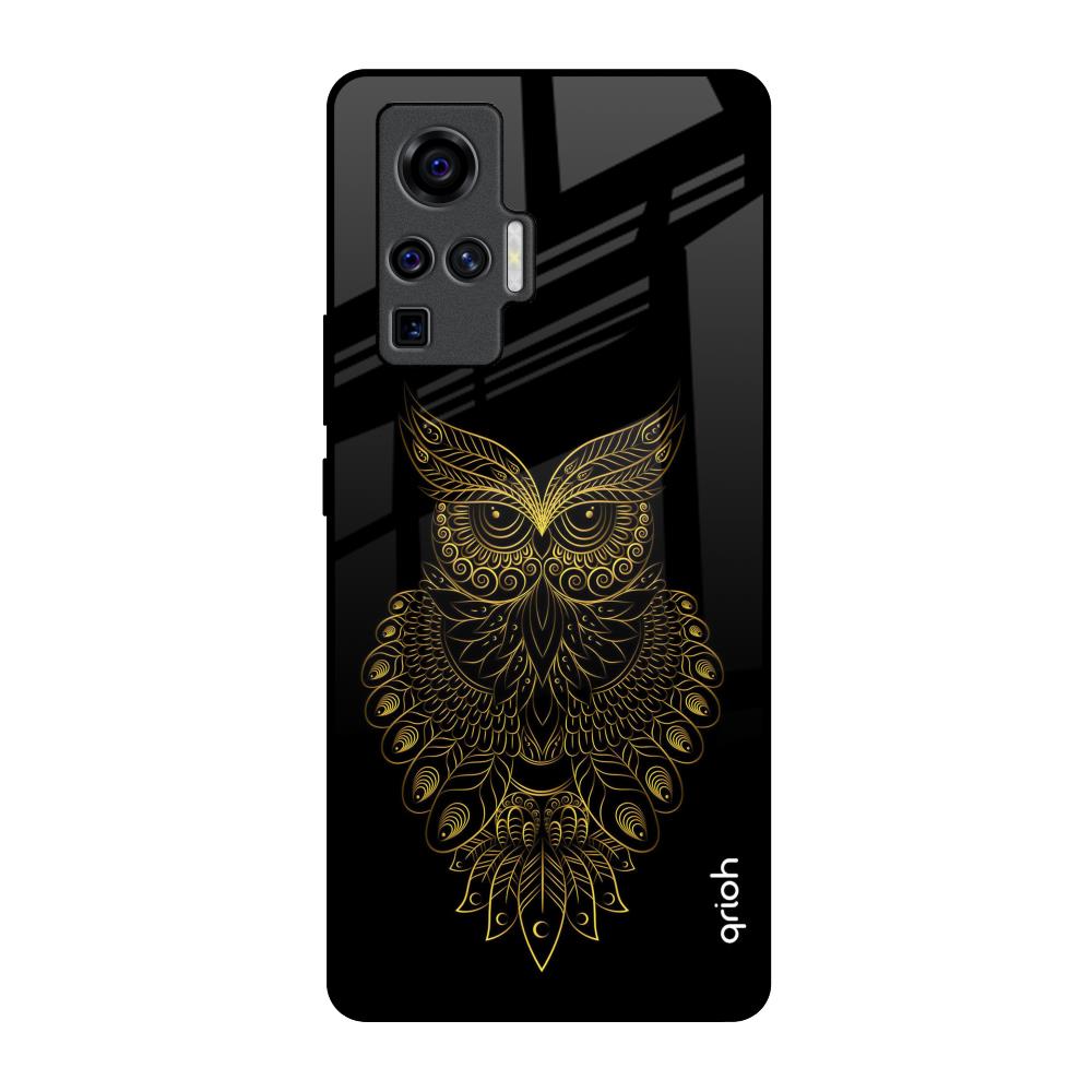 Golden Owl Vivo X50 Pro Glass Back Cover Online