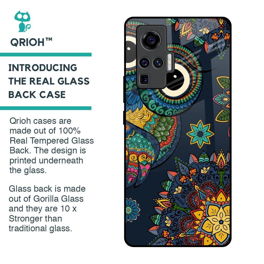 Owl Art Glass Case for Vivo X50 Pro