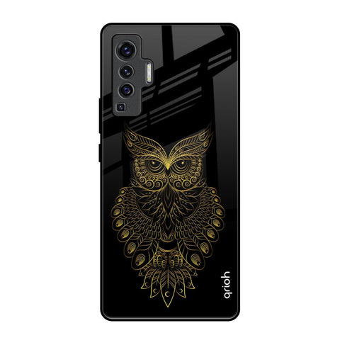 Golden Owl Vivo X50 Glass Back Cover Online