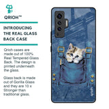 Kitty In Pocket Glass Case For Vivo X50