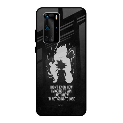 Ace One Piece Huawei P40 Pro Glass Back Cover Online