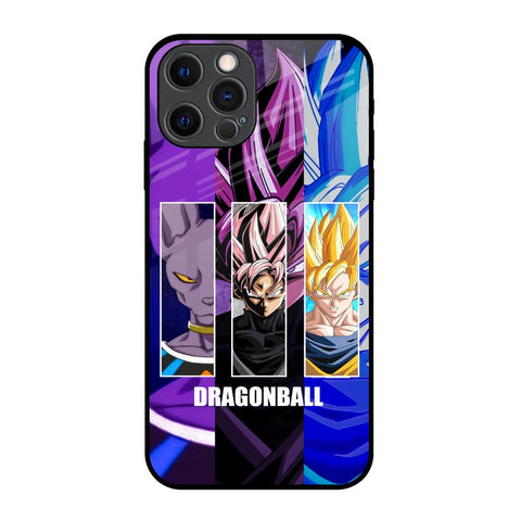 DGBZ iPhone 12 Pro Glass Back Cover Online