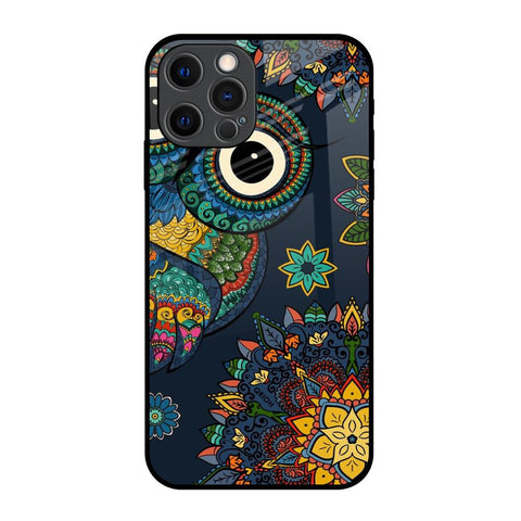 Owl Art iPhone 12 Pro Glass Back Cover Online
