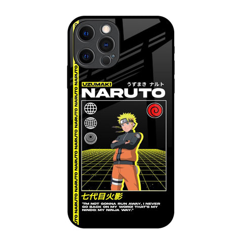 Ninja Way iPhone 12 Pro Glass Back Cover Online