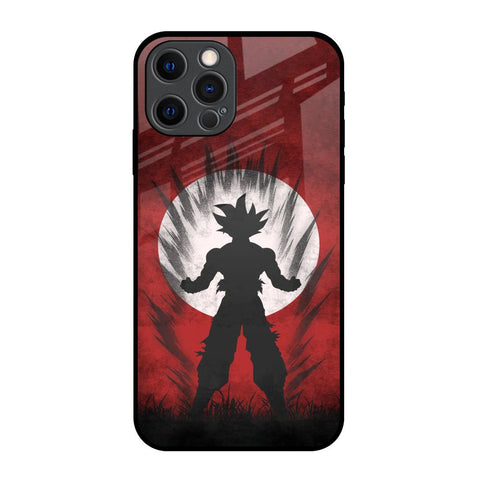 Japanese Animated iPhone 12 Pro Glass Back Cover Online
