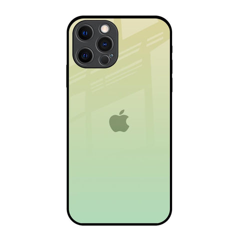 Mint Green Gradient iPhone 12 Pro Glass Back Cover Online