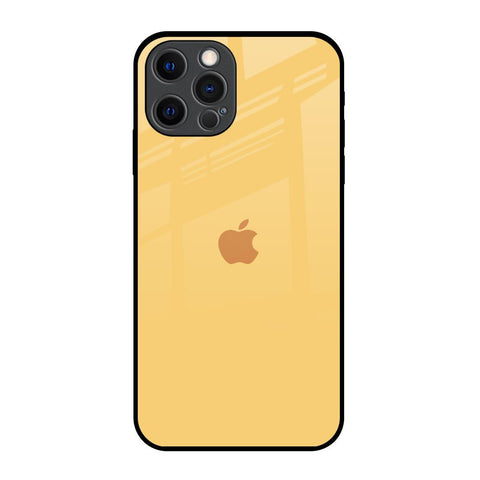 Dandelion iPhone 12 Pro Glass Back Cover Online