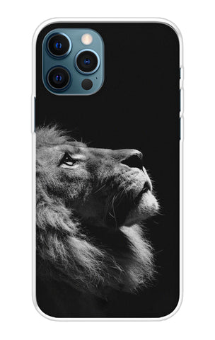 Lion Looking to Sky iPhone 12 Pro Back Cover