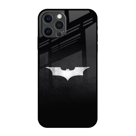 Super Hero Logo iPhone 12 Pro Max Glass Back Cover Online