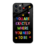 Magical Words iPhone 12 Pro Max Glass Back Cover Online