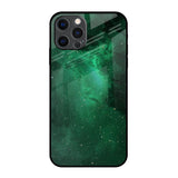 Emerald Firefly iPhone 12 Pro Max Glass Back Cover Online