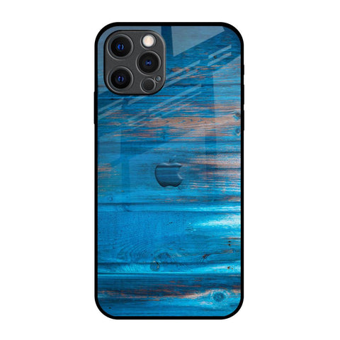 Patina Finish iPhone 12 Pro Max Glass Back Cover Online