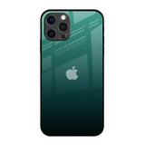 Palm Green iPhone 12 Pro Max Glass Back Cover Online