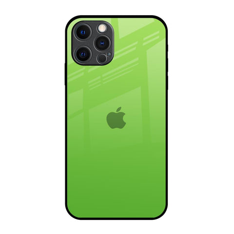 Paradise Green iPhone 12 Pro Max Glass Back Cover Online