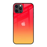 Sunbathed iPhone 12 Pro Max Glass Back Cover Online