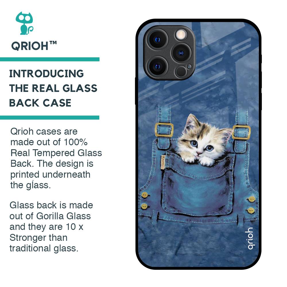Kitty In Pocket Glass Case For iPhone 12 Pro Max