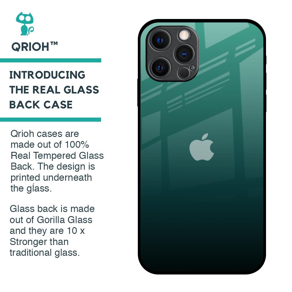 Palm Green Glass Case For iPhone 12 Pro Max